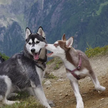 With 1 Bedroom * Längenfeld