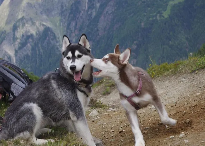 With 1 Bedroom * Längenfeld